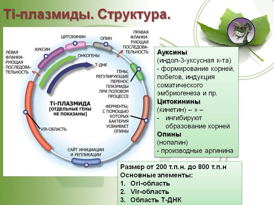 Ошибка на сервере кракен