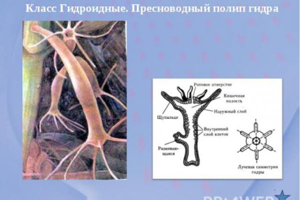 Как зайти на кракен даркнет