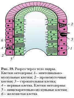 Кракен площадка vk2 top